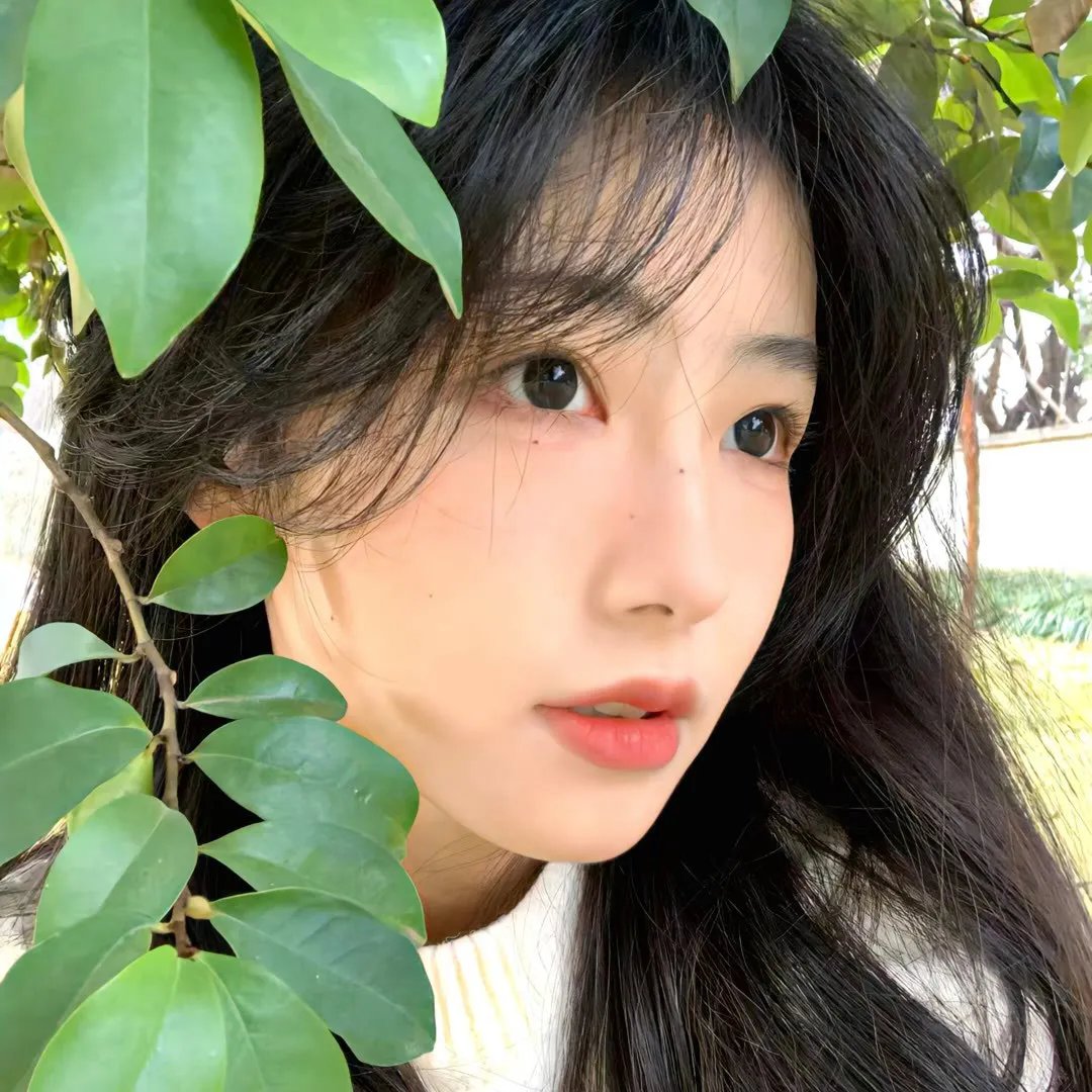 吻中情封面